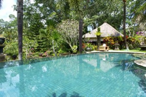 hotel bunga permai pool